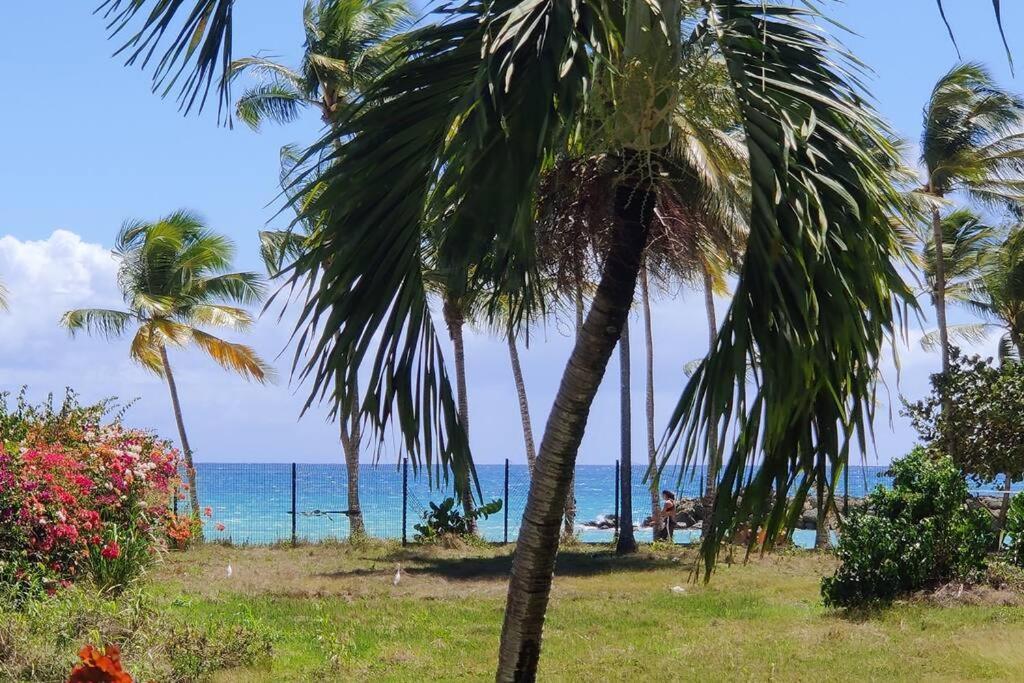Parfum Des Iles - Vue Mer, Plage A 30M Et Piscine En Option Le Gosier  Extérieur photo