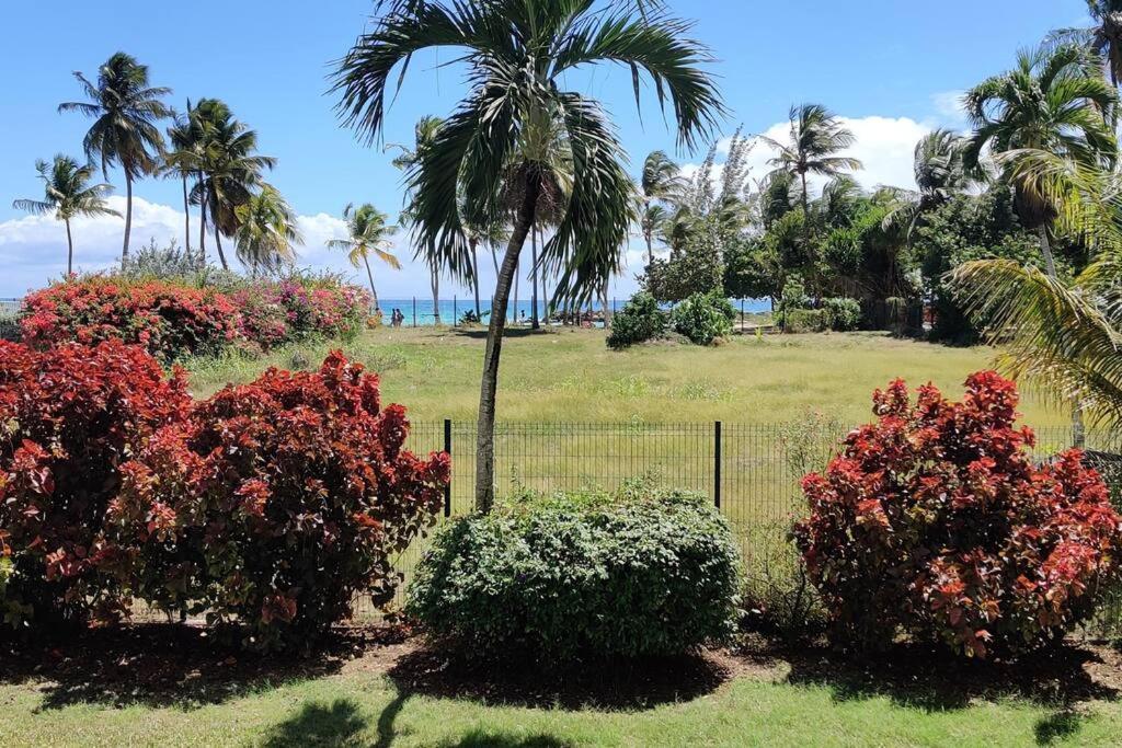 Parfum Des Iles - Vue Mer, Plage A 30M Et Piscine En Option Le Gosier  Extérieur photo
