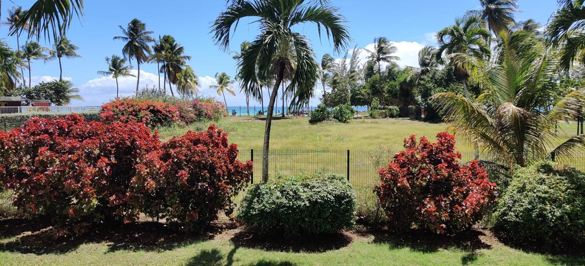 Parfum Des Iles - Vue Mer, Plage A 30M Et Piscine En Option Le Gosier  Extérieur photo